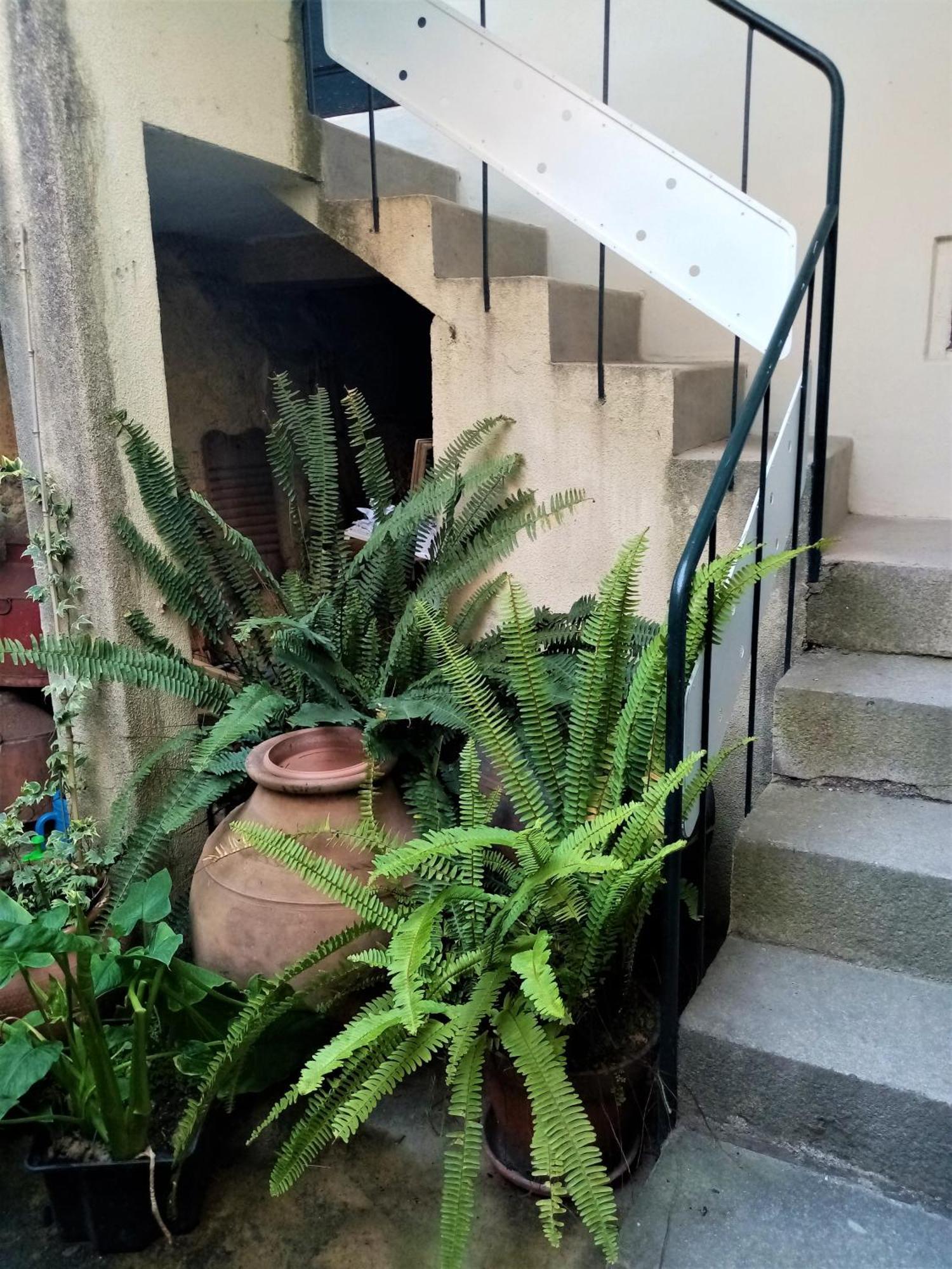 Casa Da Judiaria Velha Ap Διαμέρισμα Viseu Εξωτερικό φωτογραφία