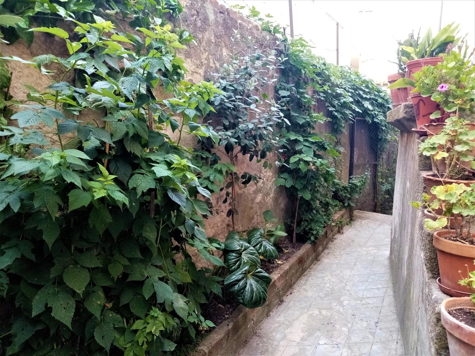 Casa Da Judiaria Velha Ap Διαμέρισμα Viseu Εξωτερικό φωτογραφία