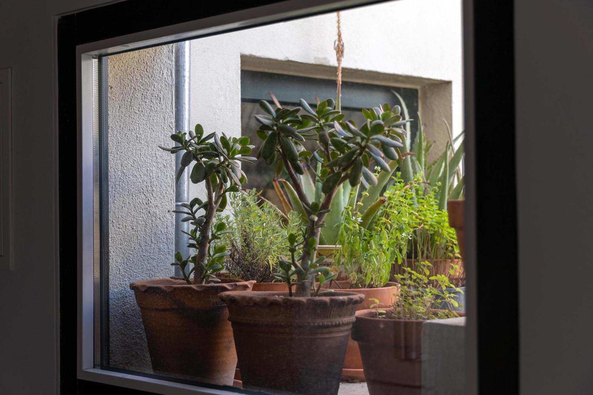 Casa Da Judiaria Velha Ap Διαμέρισμα Viseu Εξωτερικό φωτογραφία